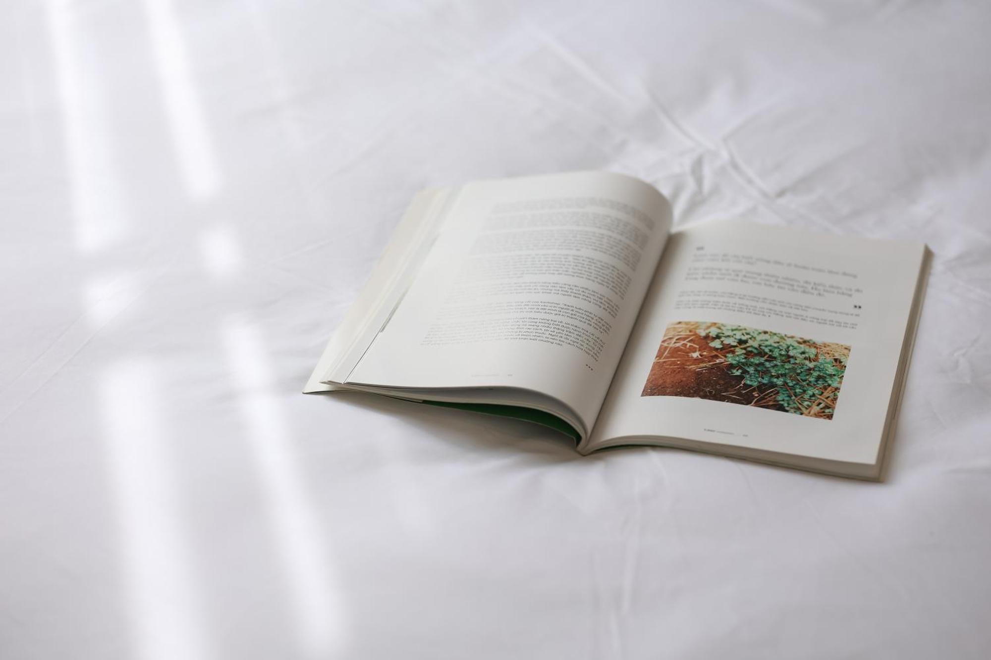 Lemi - Homestay In Huế Ngoại thất bức ảnh